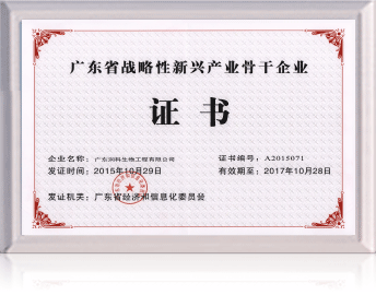 廣東省戰略性新興產業骨干企業